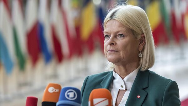 Klaudia Tanner, la ministra de Defensa de Austria - Sputnik Mundo