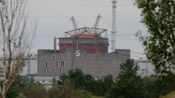 La central nuclear de Zaporozhie - Sputnik Mundo