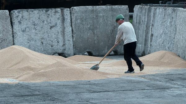 Trabajadores cargan grano en un puerto cerealero en Izmail, Ucrania, el 26 de abril de 2023 - Sputnik Mundo