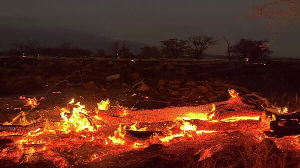 Incendios en Hawái  - Sputnik Mundo