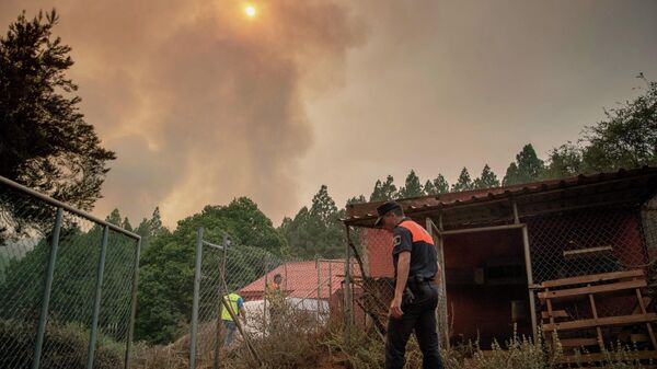 Incendio forestal fuera del control en Tenerife - Sputnik Mundo