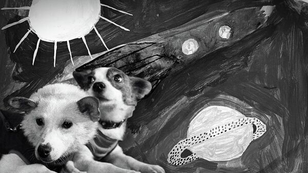 Belka y Strelka: 63 años del viaje al espacio de las valientes perras cosmonautas - Sputnik Mundo