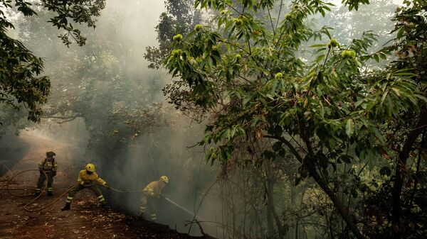 Incendios forestales en Tenerife - Sputnik Mundo