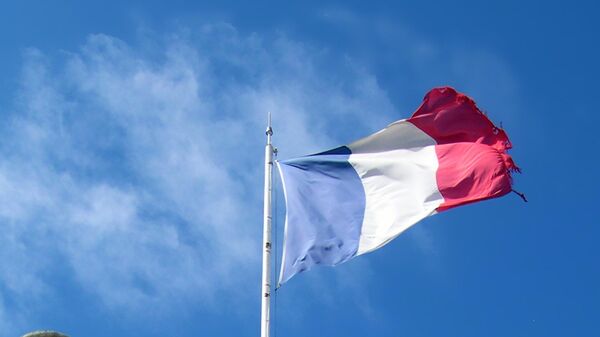 Francia desestimó la expulsión de su embajador en Níger. - Sputnik Mundo