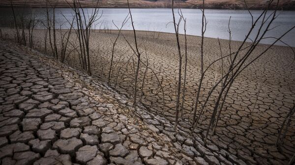 Vista de la reserva Sau, en Barcelona, vaciada por la sequía - Sputnik Mundo