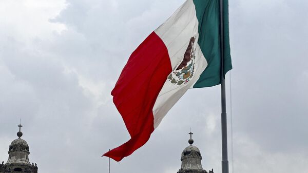 México siempre ha tenido disposiciones para el actuar de los extranjeros en el país. - Sputnik Mundo