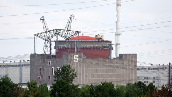 La central nuclear de Zaporozhie - Sputnik Mundo