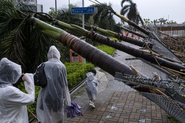 Un grupo de personas se abre paso a través de árboles caídos tras el paso del tifón Saola en Hong Kong. - Sputnik Mundo
