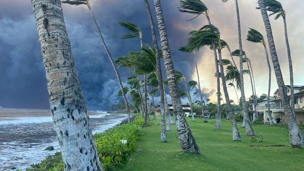El huaracán Dora y un incendio descomunal arrasaron con la localidad de Lahaina, en Maui, el 8 de agosto.  - Sputnik Mundo