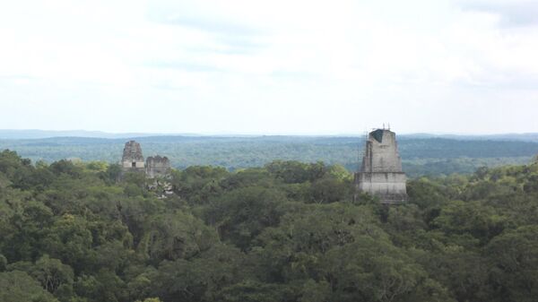 Antigua ciudad de Tikal (en Guatemala)  - Sputnik Mundo
