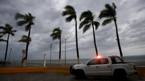 Las palmeras resisten el viento en Puerto Vallarta, estado de Jalisco, México, el 10 de octubre de 2023  - Sputnik Mundo