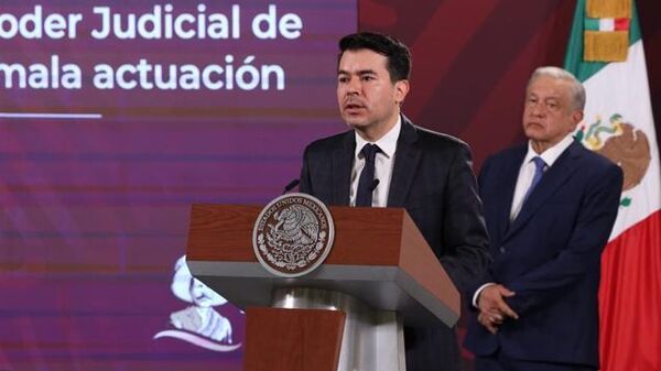 Félix Arturo Medina Padilla será el nuevo subsecretario de Derechos Humanos del Gobierno de México. - Sputnik Mundo
