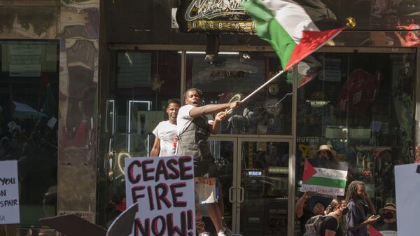 Un manifestante estadounidense muestra su respaldo a Palestina  - Sputnik Mundo