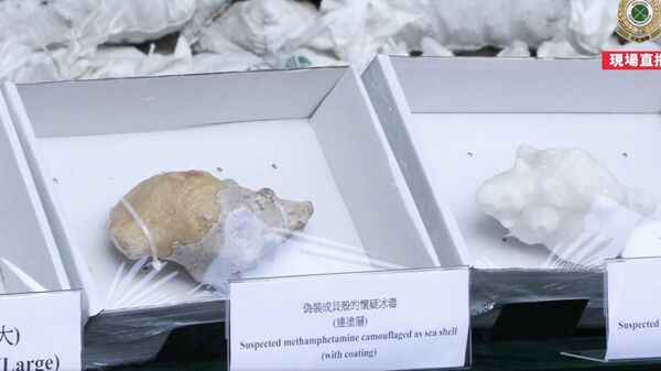Hong Kong incauta metanfetamina proveniente de México camuflada en conchas marinas  - Sputnik Mundo