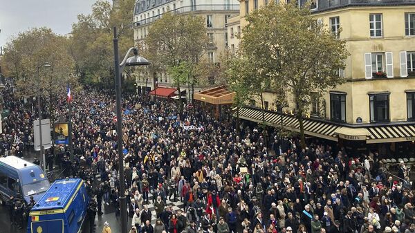 Unas 100.000 personas participaron en la manifestación de este domingo en París. - Sputnik Mundo