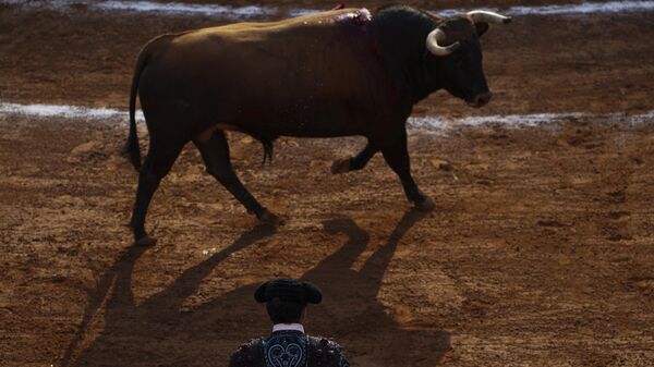 Las corridas de toros fueron suspendidas en la Ciudad de México desde 2022. - Sputnik Mundo