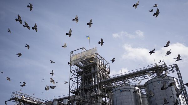 Unas aves volando alrededor de unas instalaciones de manipulación y almacenamiento de grano en el centro de Ucrania, el 10 de noviembre de 2023. - Sputnik Mundo