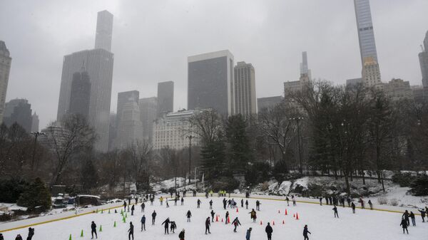 Un grupo de personas camina por Central Park de Nueva York mientras cae nieve durante una tormenta invernal el 19 de enero de 2024.  - Sputnik Mundo