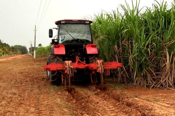 Tractores trabajan en un ingenio azucarero en Cuba - Sputnik Mundo