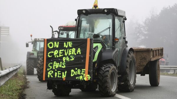 Protestas de agricultores en Francia - Sputnik Mundo