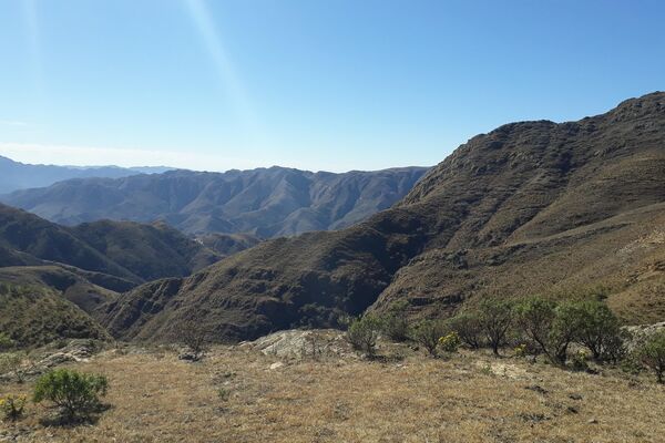 Reserva Natural del Quebracho y el Cóndor en Laderas Norte, Tarija. - Sputnik Mundo