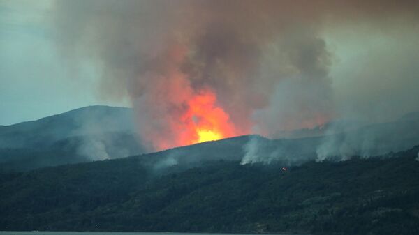 Incendio forestal en el Parque Nacional Los Alerces, Chubut - Sputnik Mundo