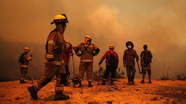 Bomberos trabajan en la zona de un incendio forestal en los cerros en la comuna de Quilpue, región de Valparaíso, Chile, el 3 de febrero de 2024  - Sputnik Mundo