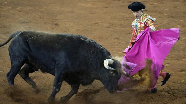 Las corridas de toros son una actividad famosa en México y gran parte del mundo. - Sputnik Mundo