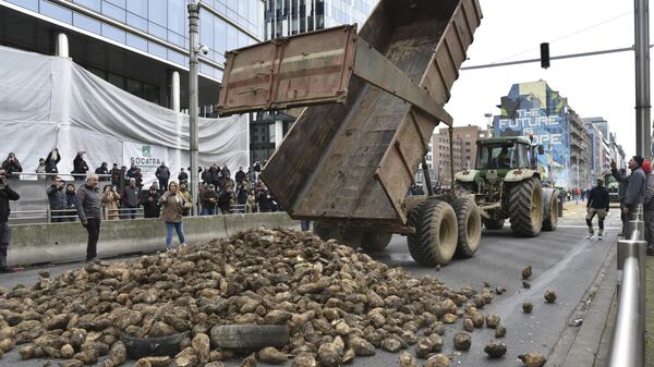 Agricultores protestan vertiendo una carga de patatas en un bulevar principal durante una manifestación ante el edificio del Consejo Europeo en Bruselas, el 26 de marzo, 2024 - Sputnik Mundo