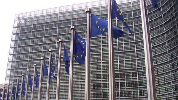 La UE expresa su preocupación por la continuación de los combates en Debáltsevo - Sputnik Mundo