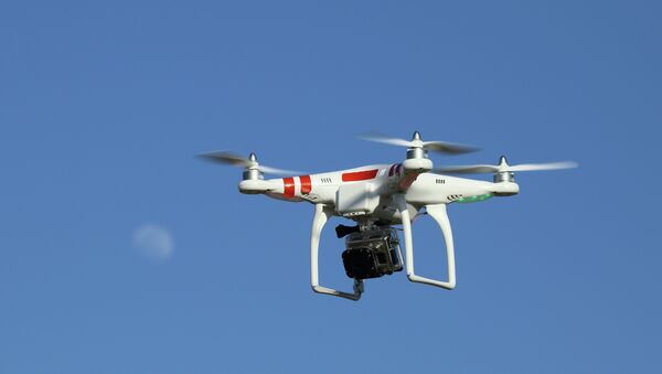 La Fuerza Aérea de Brasil investiga a pizzeria de Sao Paulo por usar drones en el reparto - Sputnik Mundo