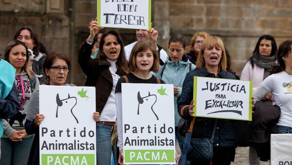 Santiago de Compostela: Concentración por Teresa y Excalibur - Sputnik Mundo