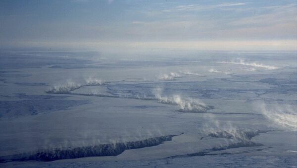 La noruega Statoil aboga por invertir en el Ártico a pesar de la caída del petróleo - Sputnik Mundo