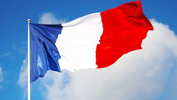 Bandera de Francia - Sputnik Mundo