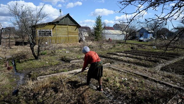 Diputados rusos proponen entregar tierras gratis para desarrollar territorios lejanos - Sputnik Mundo