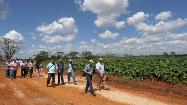 Miembros de la Coalición Agrícola de Estados Unidos para Cuba en una granja en Cuba - Sputnik Mundo
