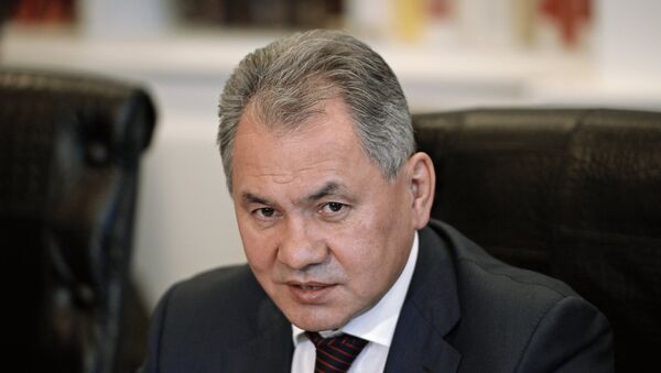 Serguéi Shoigú, ministro ruso de Defensa - Sputnik Mundo