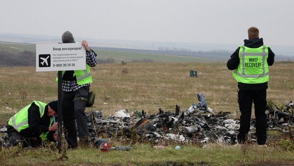Alemania sabía del peligro para los vuelos sobre Donbás antes del siniestro del MH17 - Sputnik Mundo