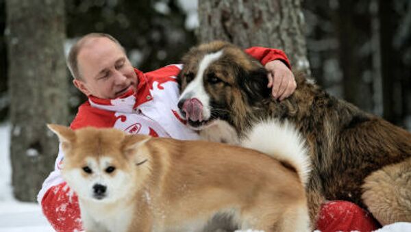 Vladímir Putin con sus perros - Sputnik Mundo