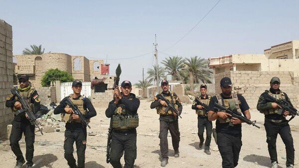 Soldados iraquíes en la ciudad de Amiriyat Faluya (archivo) - Sputnik Mundo