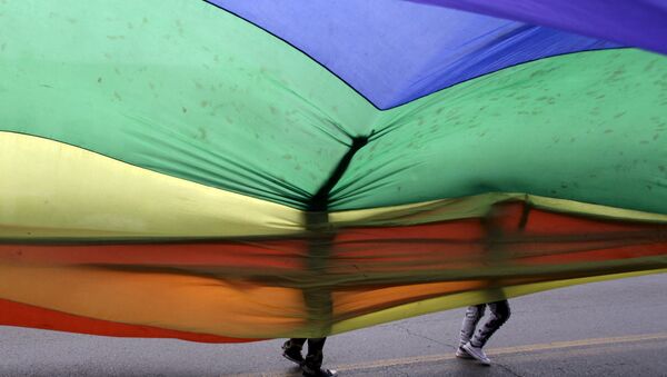 LGBT de Bolivia piden legalizar parejas homosexuales - Sputnik Mundo