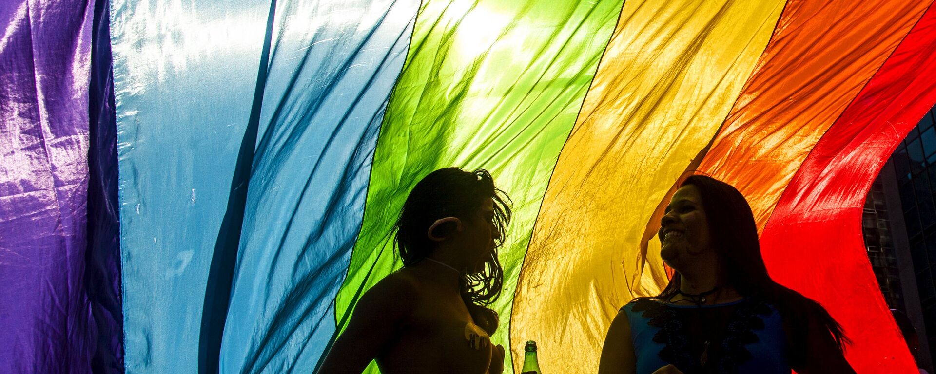 Revellers take part in the 19th Gay Pride parade along Paulista Avenue in Sao Paulo, Brazil, June 7, 2015 - Sputnik Mundo, 1920, 11.07.2019
