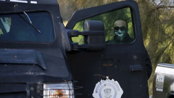 Un policía en Michoacan - Sputnik Mundo