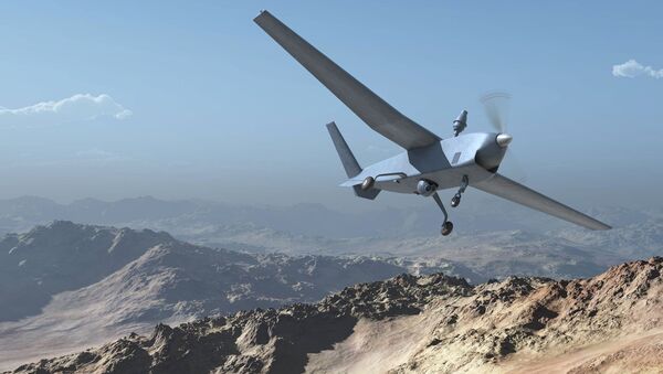 El dron Atlante (acrónimo de Avión Táctico de Largo Alcance no Tripulado Español) - Sputnik Mundo