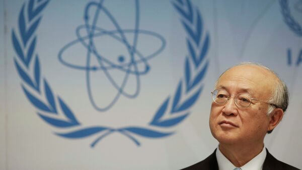 International Atomic Energy Agency (IAEA) Director General Yukiya Amano - Sputnik Mundo