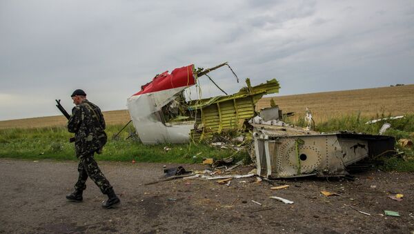 Lugar del accidente del avión MH17 en el este de Ucrania - Sputnik Mundo