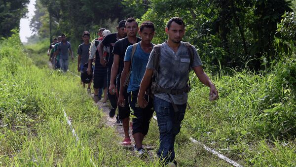 Aumento de migrantes detenidos en EEUU es temporal, según exrelator de ONU - Sputnik Mundo