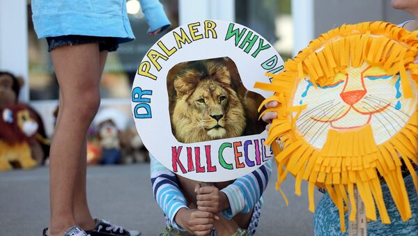 Zimbabue pide a EEUU la extradición del asesino del león Cecil - Sputnik Mundo