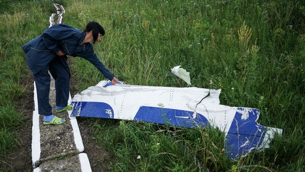 Lugar del siniestro del Boeing MH17 - Sputnik Mundo