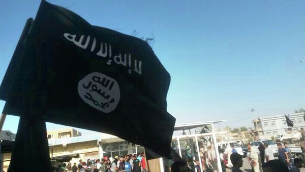Militantes del grupo yihadista Estado Islámico en Irak (archivo) - Sputnik Mundo